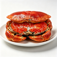 Frozen Cooked Brown Crab
